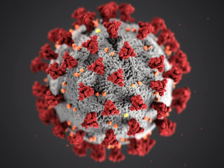 Cancelación de competiciones de baloncesto, balonmano y fútbol por el coronavirus (COVID-19)