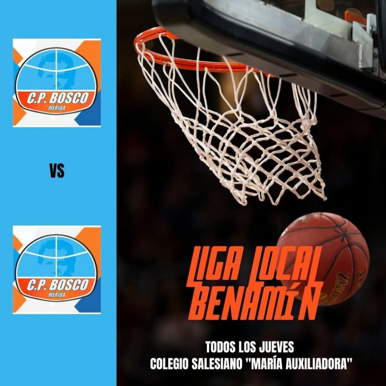 Liga local benjamín baloncesto